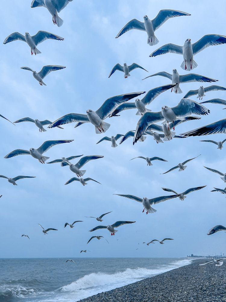 Photograph by Ольга Сорокина