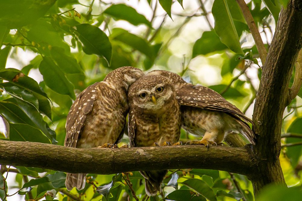 Photograph by NAVIN AGARWAL