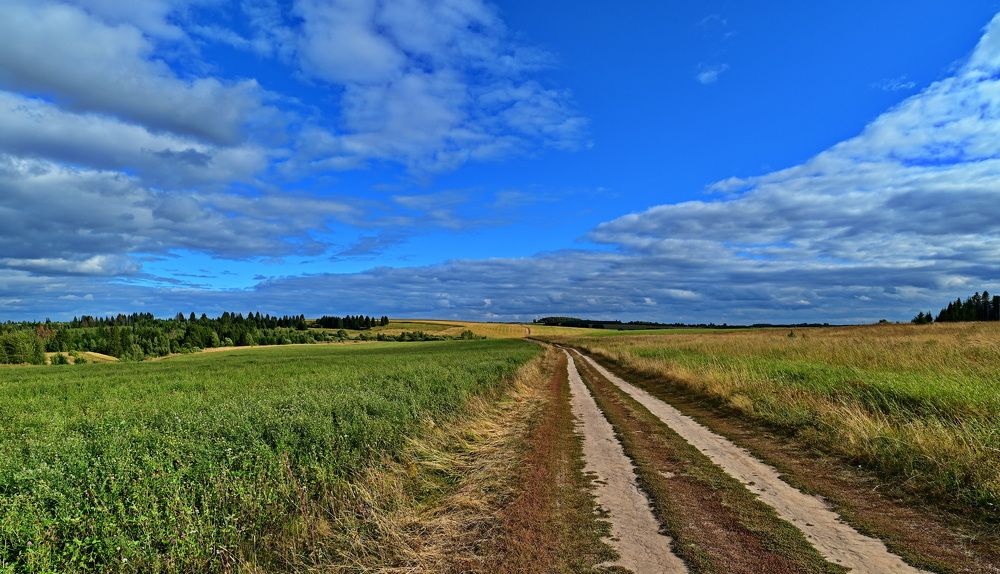 Photograph by Юрий Кузьмин