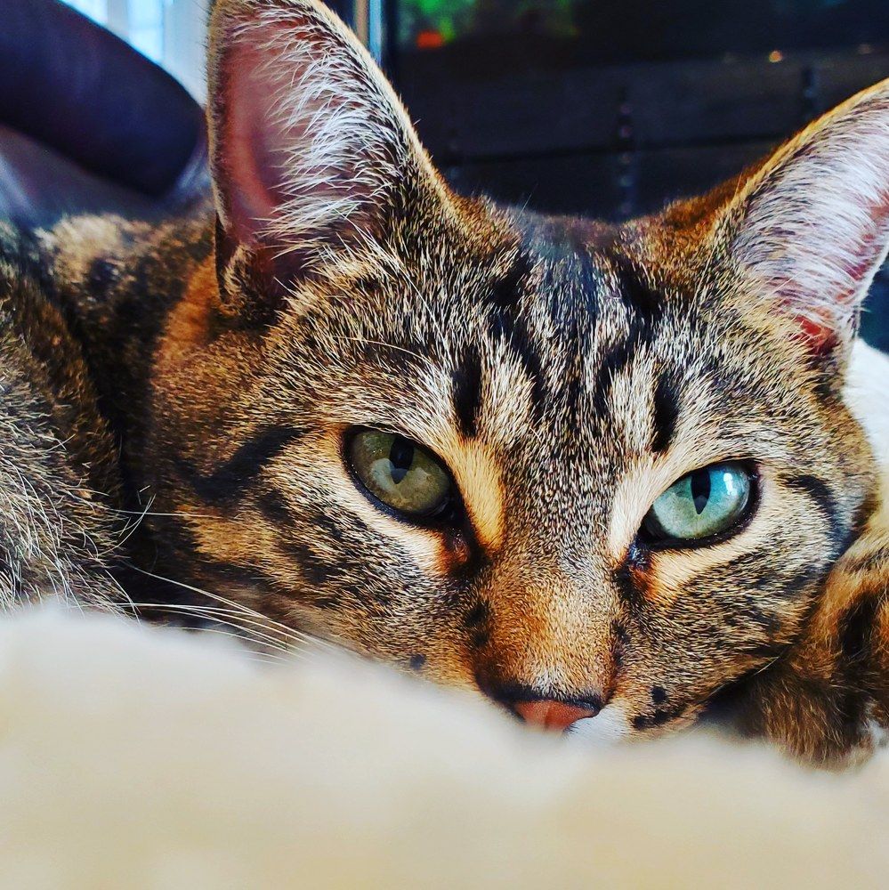 Photograph by Savanna Meredith