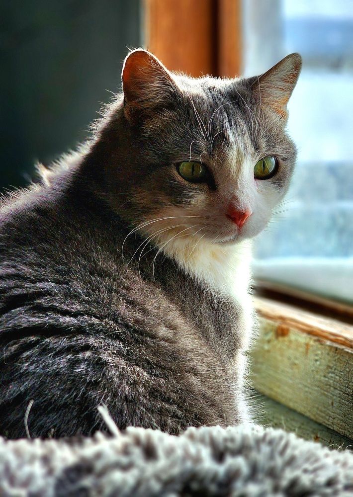 Photograph by Savanna Meredith