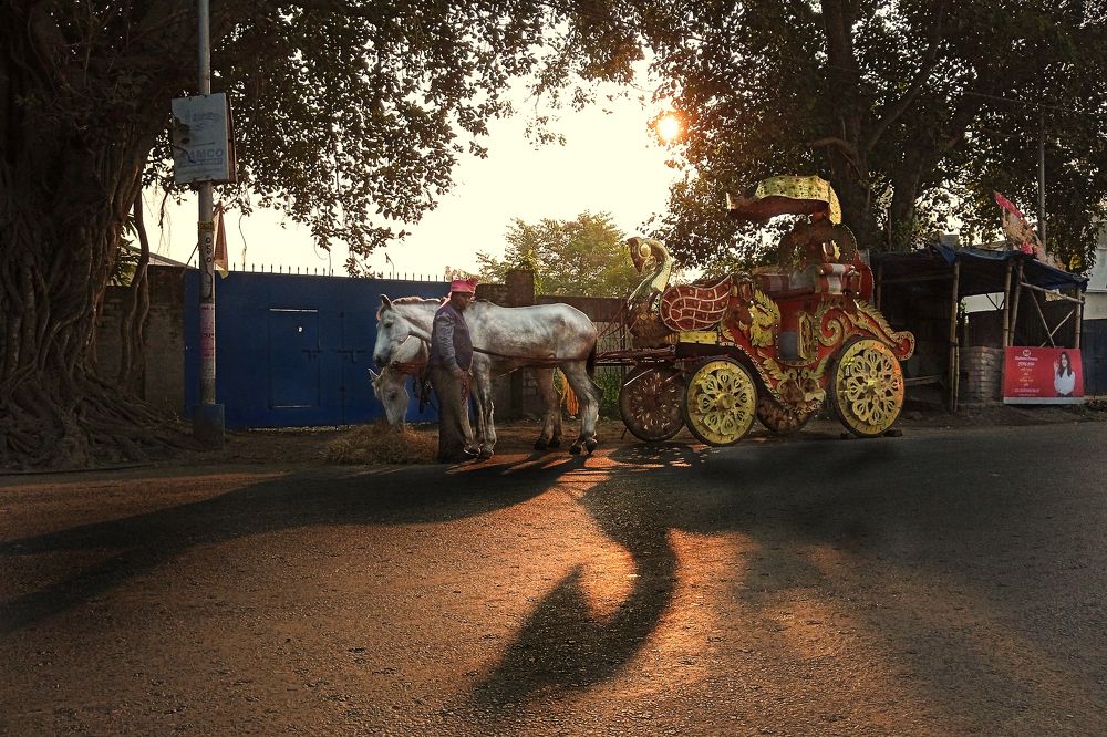 Photograph by Kamal Biswas