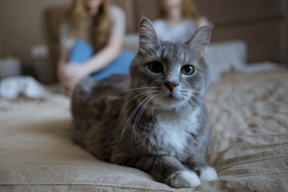 Photograph by Юлия Сенькина