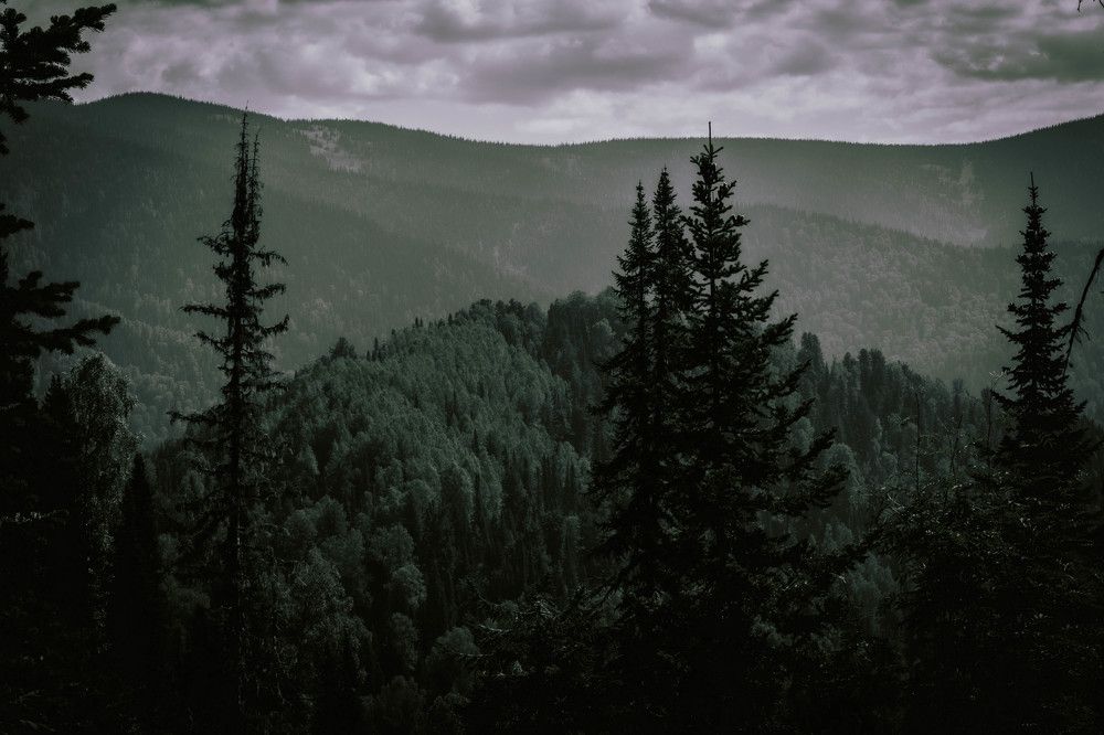 Photograph by Александр Жариков