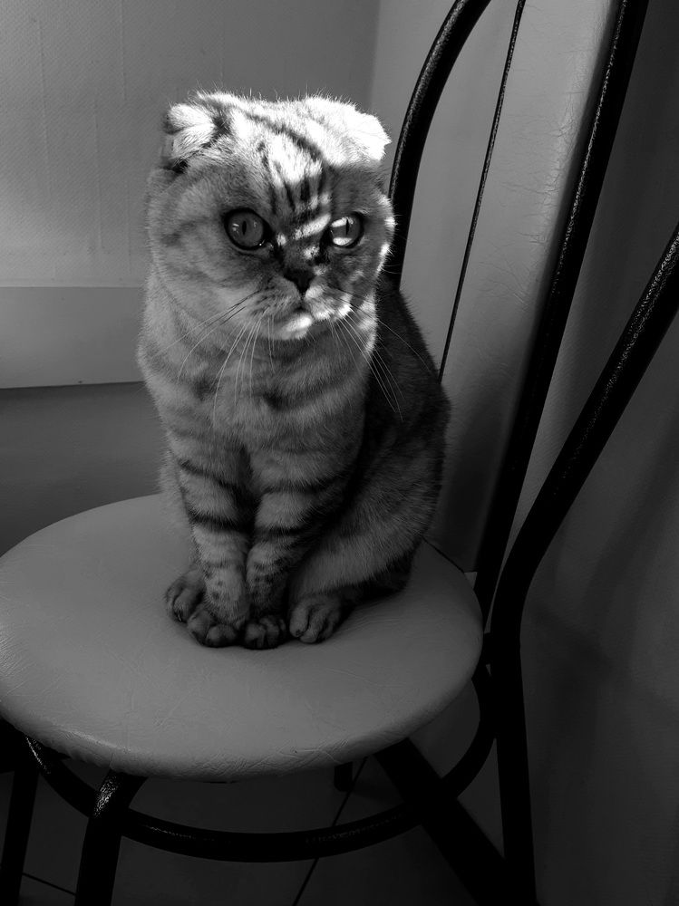 Photograph by Людмила Щепилова