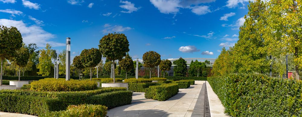 Photograph by Сергей Скибин Арт16