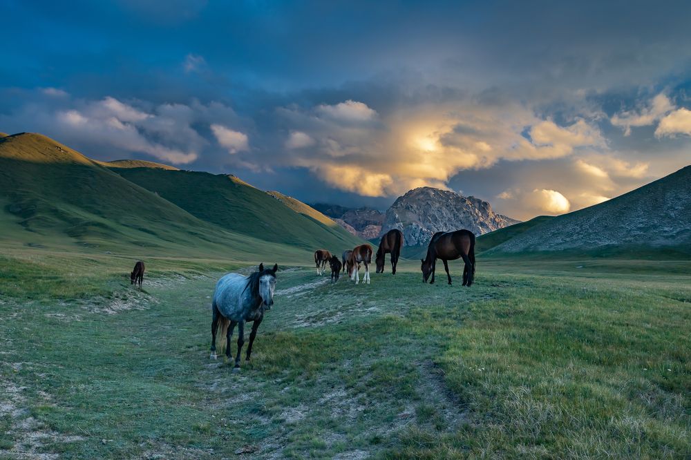 Photograph by Василий Бережной