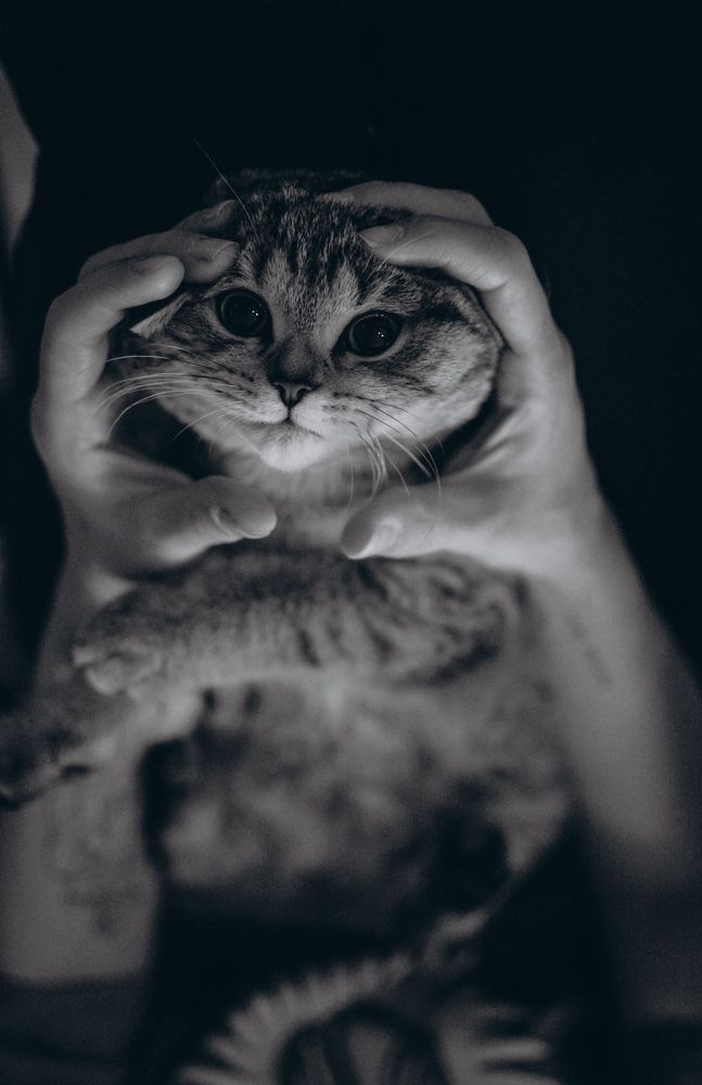 Photograph by Екатерина Жебрикова