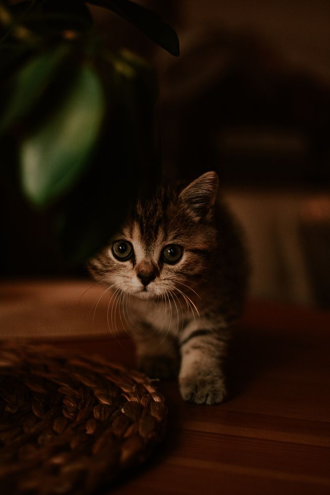 Photograph by Екатерина Жебрикова