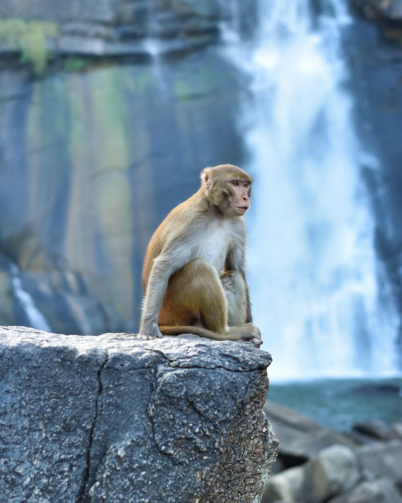 Photograph by Pratick Naskar