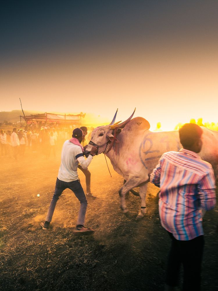 Photograph by YOGESH M. YADAV