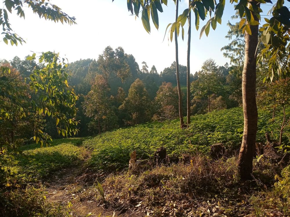 Photograph by Andrew Kyando