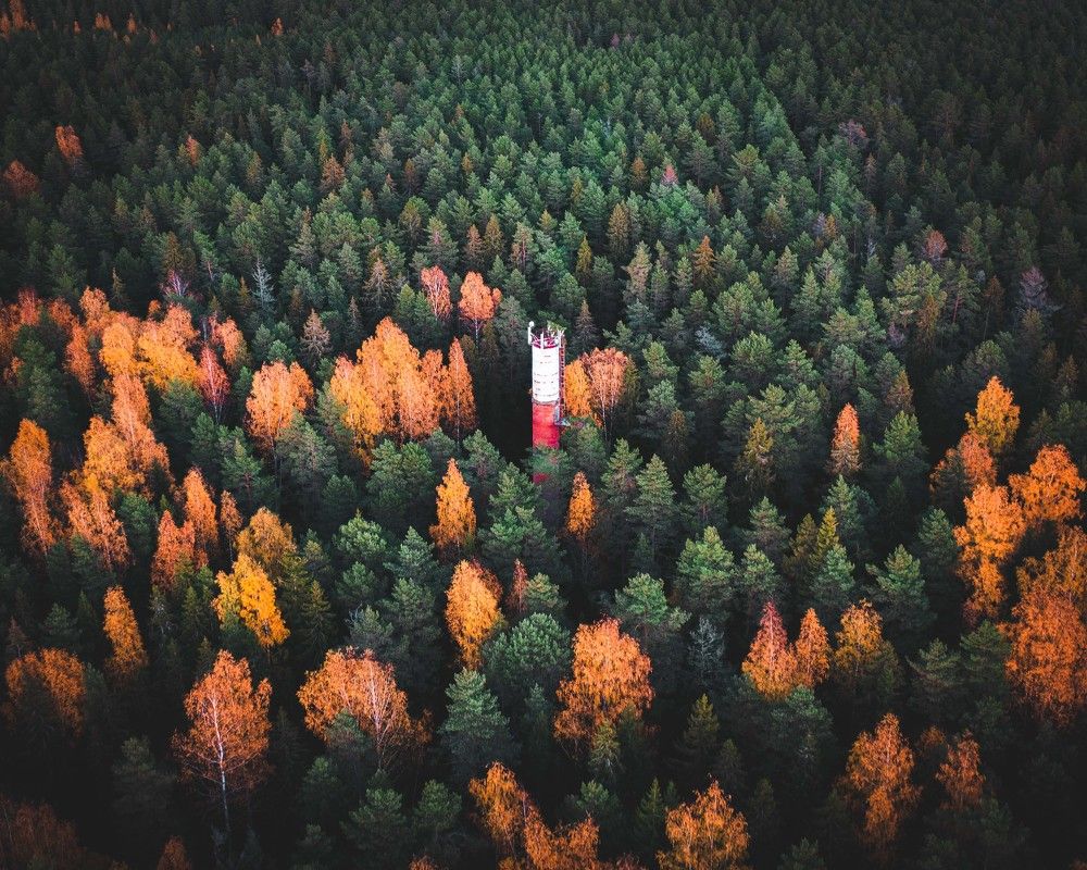 Photograph by Александр Давидик