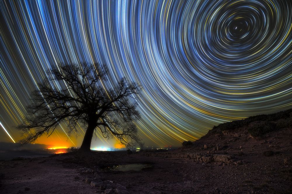 Startrails & Tree