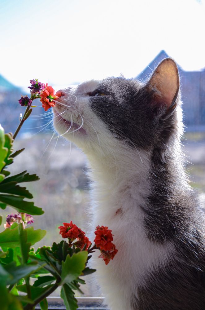 Photograph by Валерия Мандрика