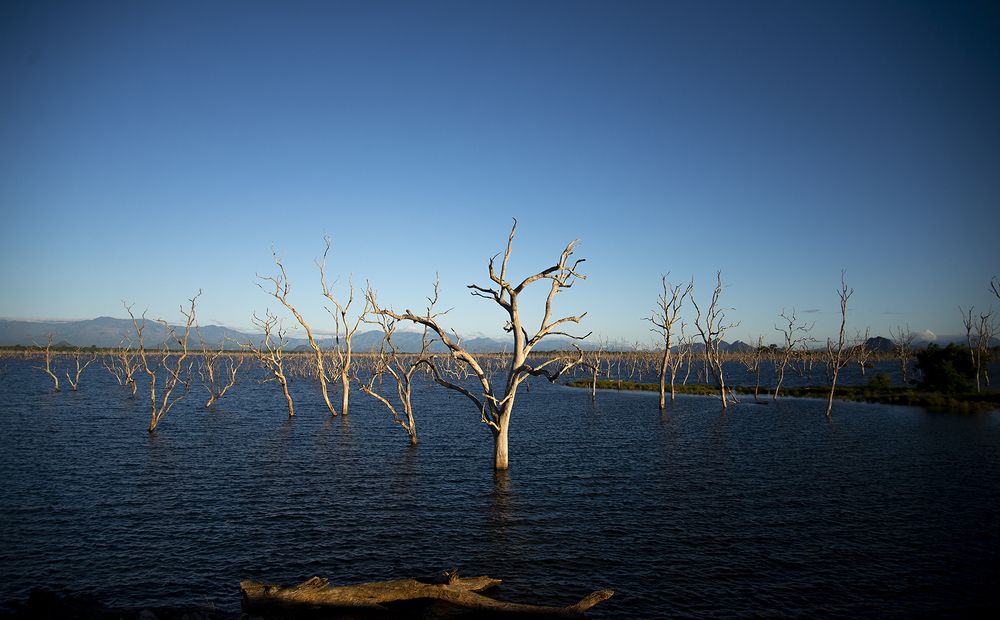 Photograph by SAMAN HALLOLUWA