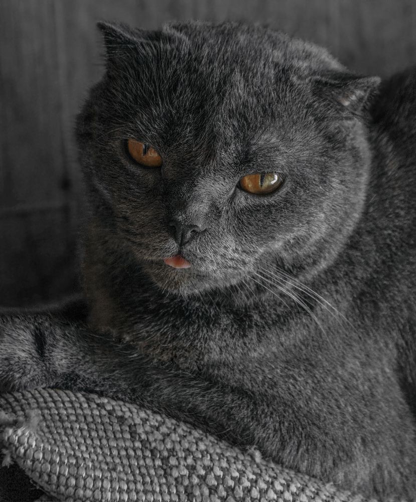 Photograph by Валерия Мандрика