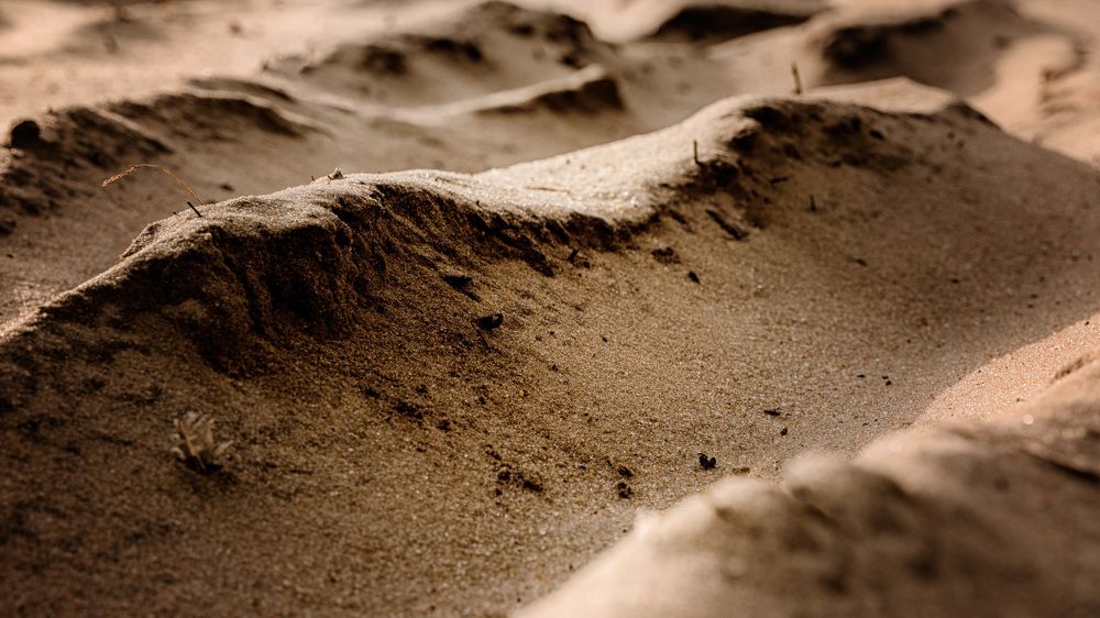 Photograph by Maksim Miroshnichenko