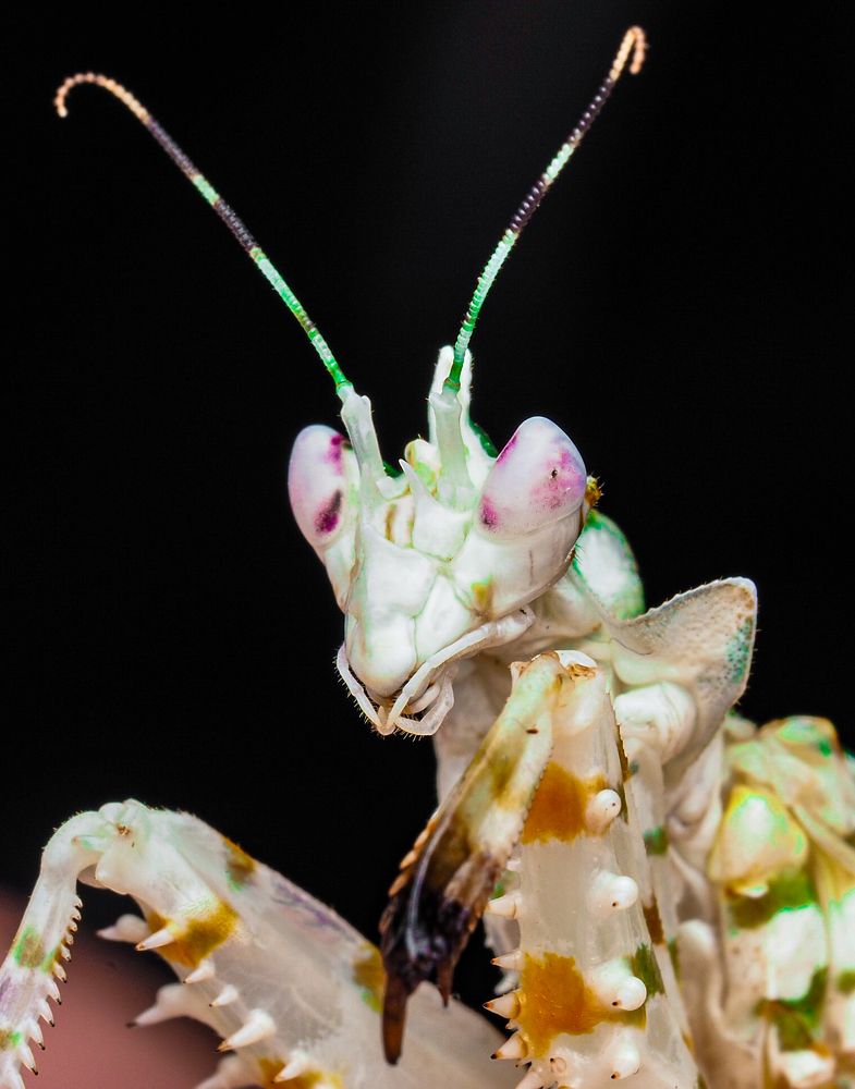 Photograph by Olga Link