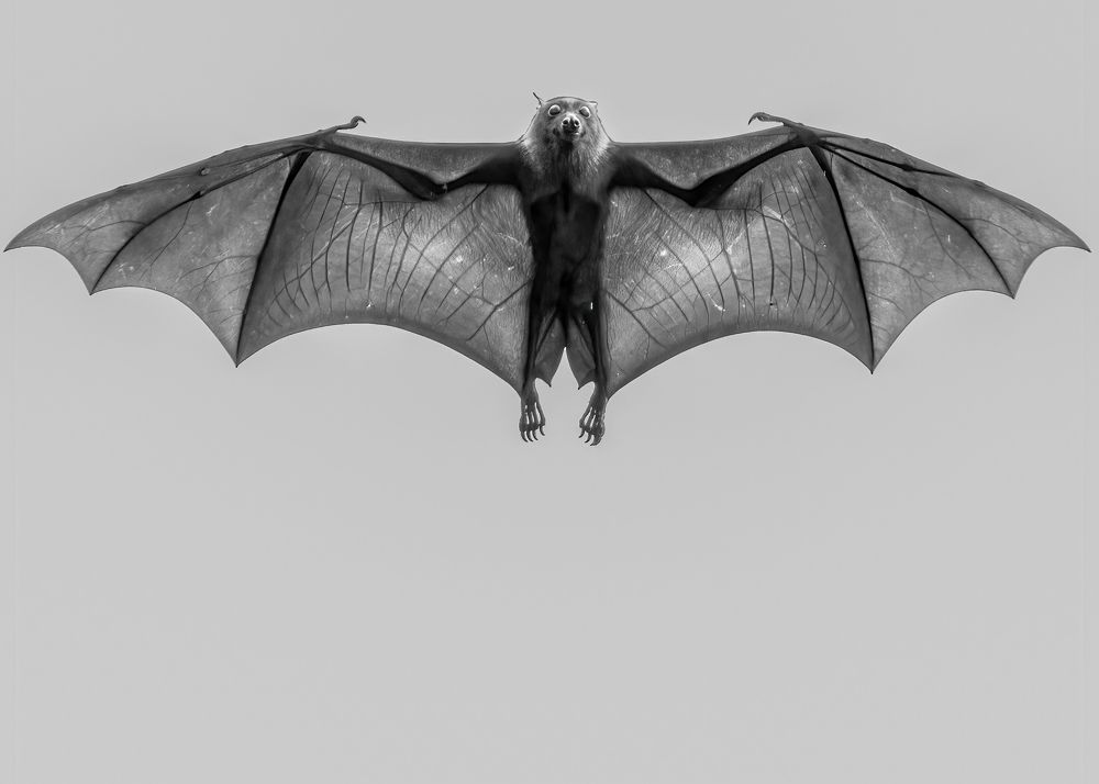 Photograph by Tanvir Hasan