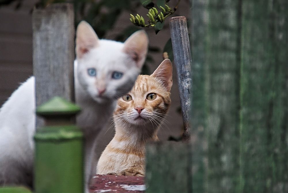 Photograph by Андрей Андреев