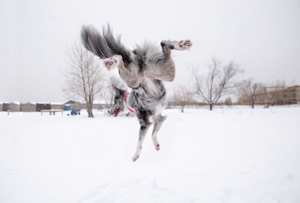 Photograph by Кристина Скрыпникова