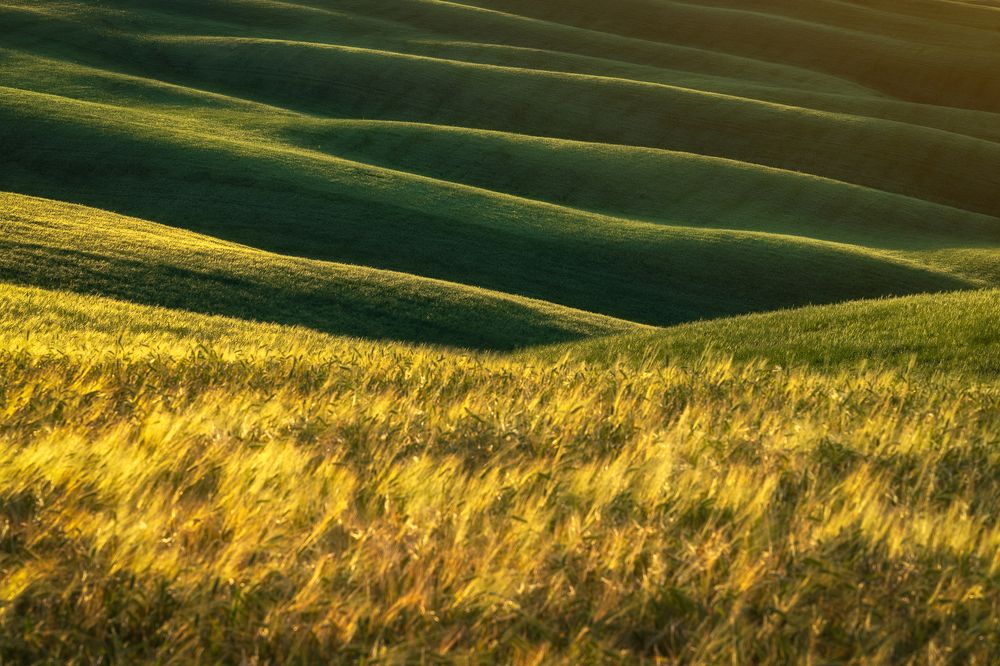 Photograph by Dominik Murko