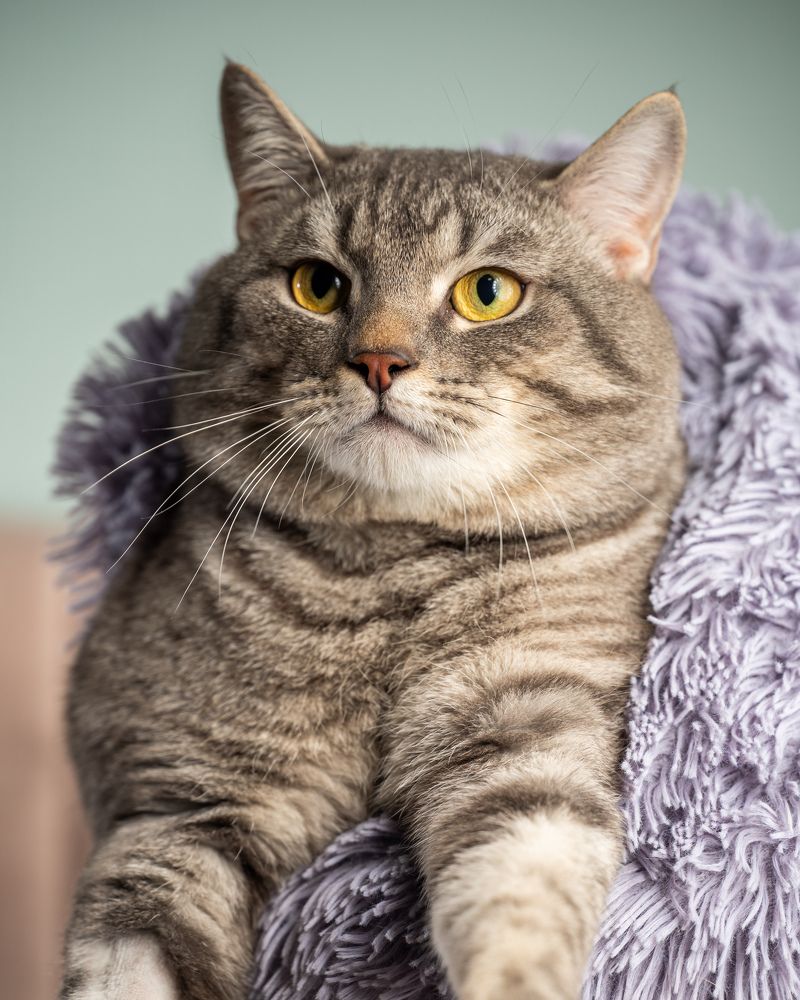 Photograph by Иван Грачев