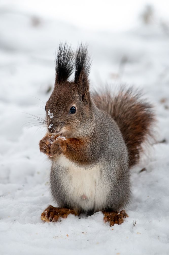 Photograph by Лора