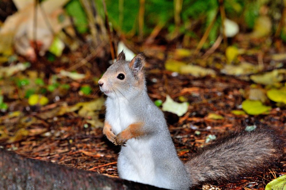 Photograph by Александр Зуев