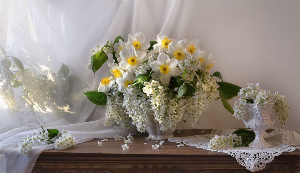 Photograph by Колова Валентина