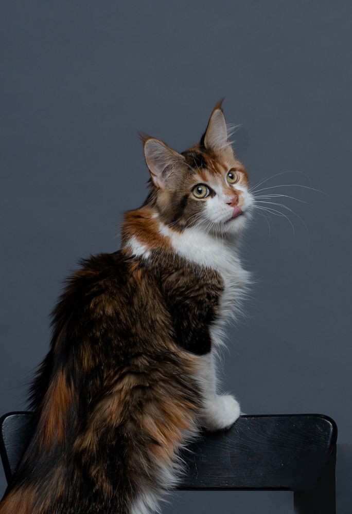 Photograph by Юлия Сенькина