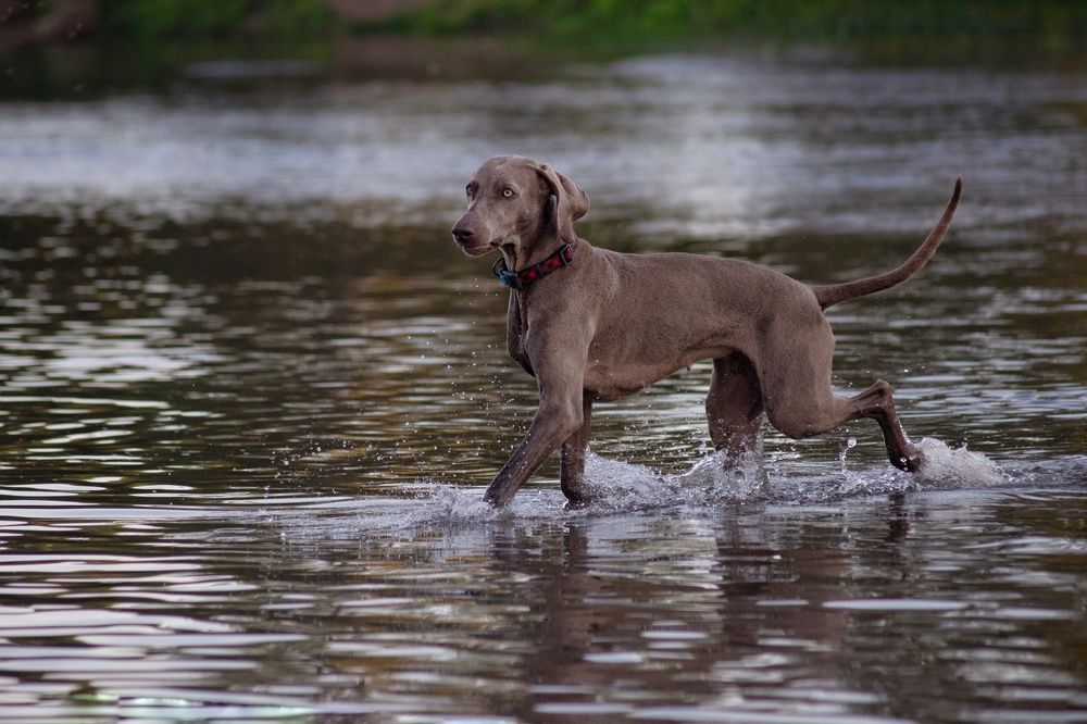 Photograph by Кристина Скрыпникова