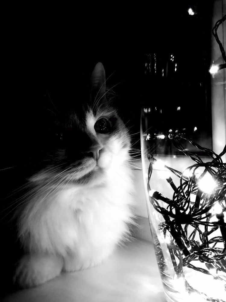 Photograph by Александра Кравченко