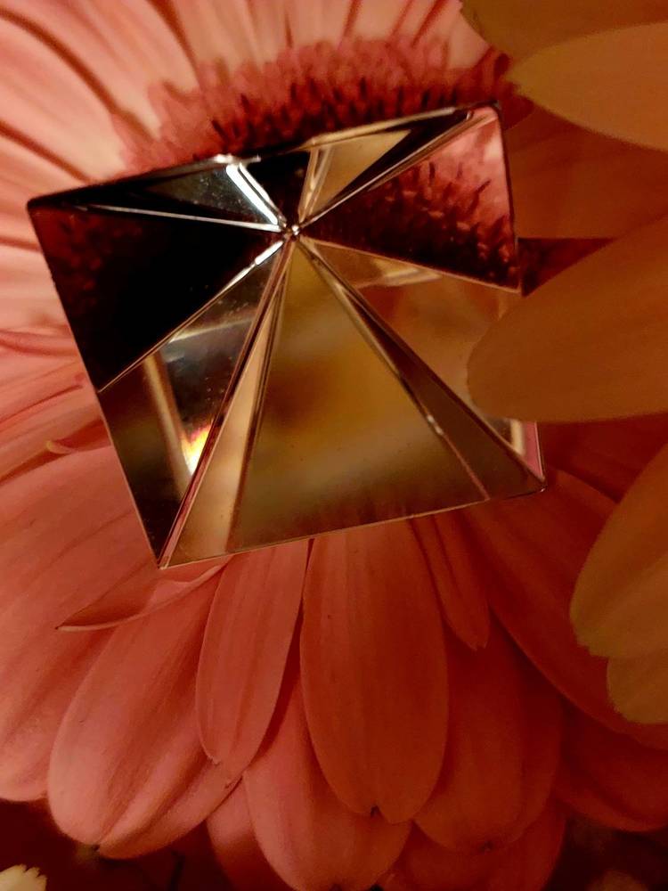 Photograph by Нина Паршина