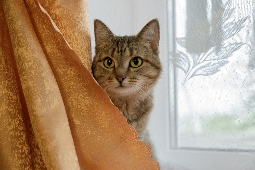 Photograph by Евгения