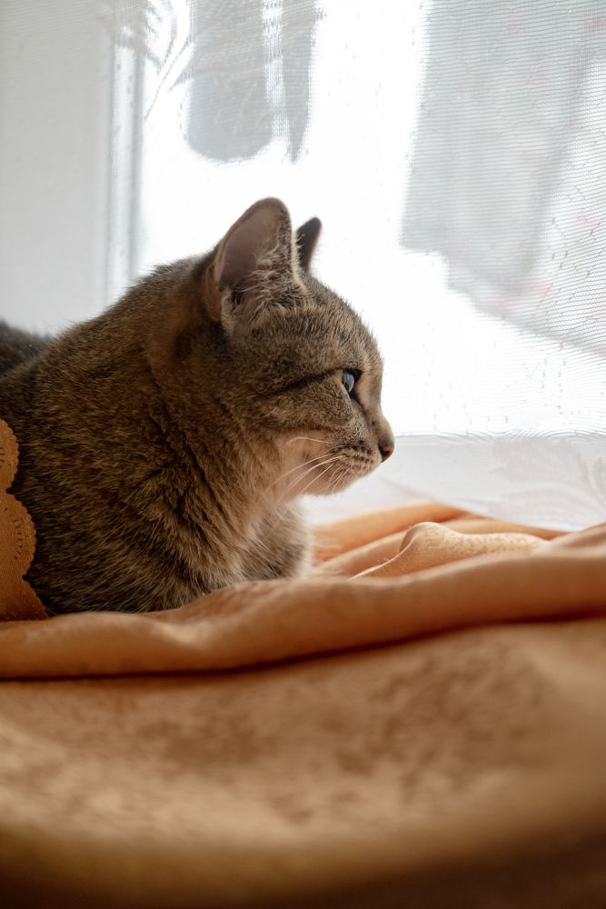 Photograph by Евгения