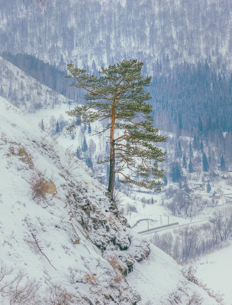 Photograph by Александр Жариков