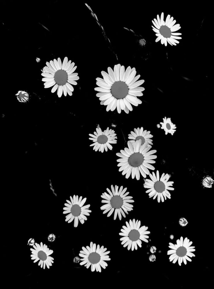 Photograph by Марина Хохрякова