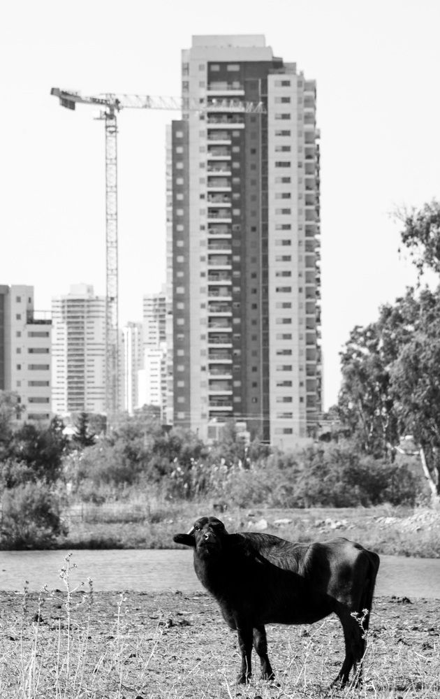 Photograph by Сергей Косачев