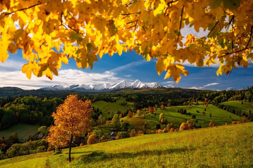 Photograph by Jan Ulicki