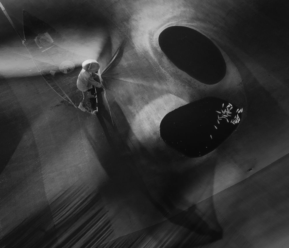 Photograph by Tuấn Nguyễn Tấn