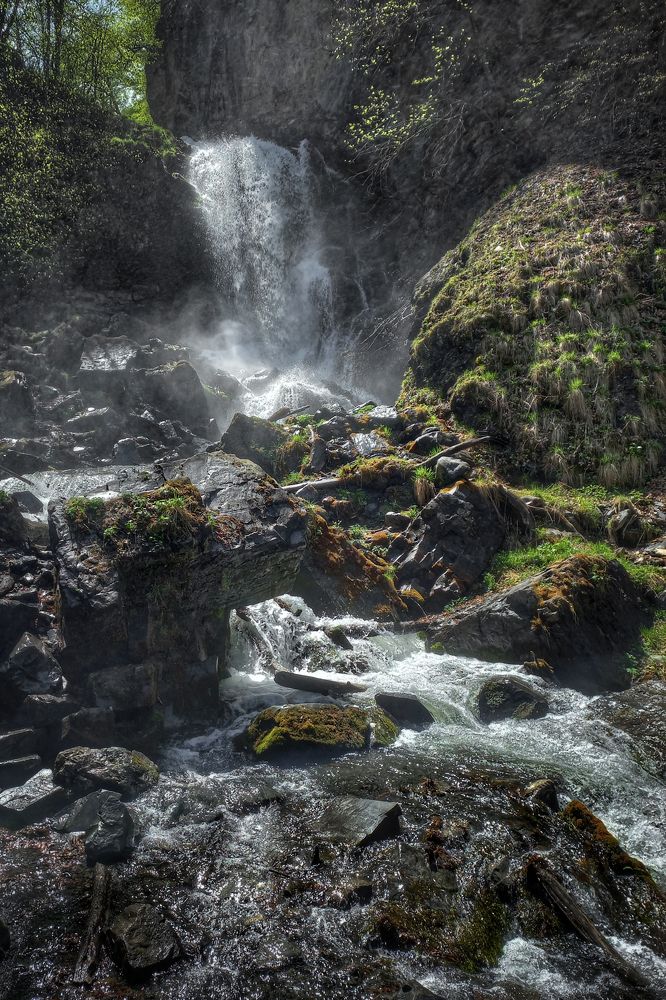 Фотография автора Илья Большаков
