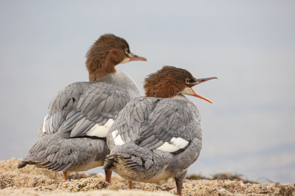 Photograph by Radosław Makowczyński