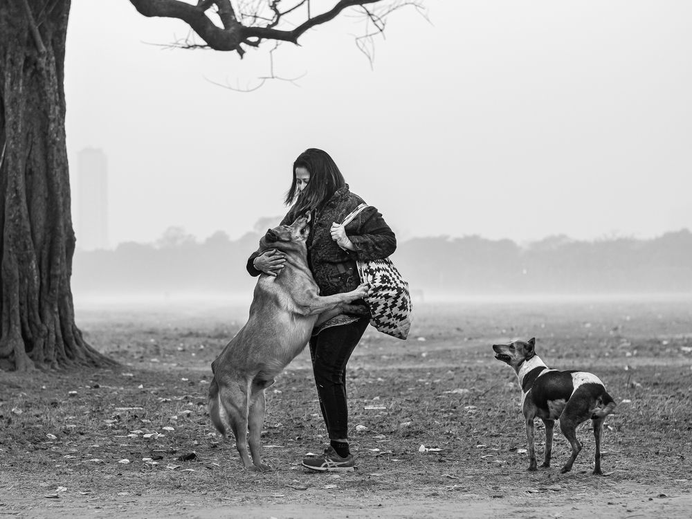 Hunger for Love ❣️?❣️