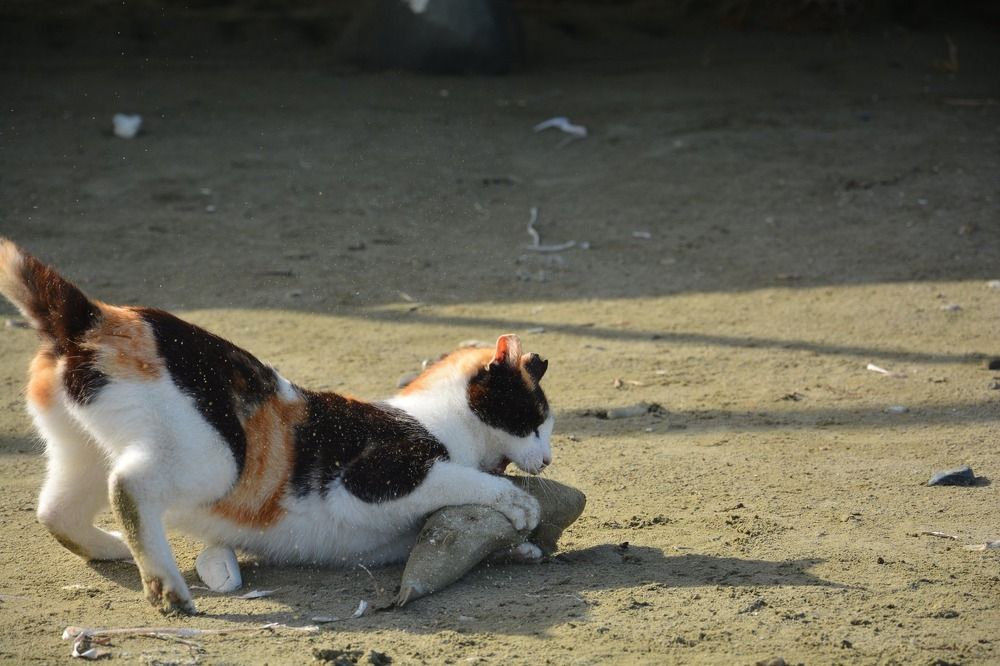 Photograph by Elizaveta Sakhnenko