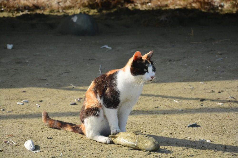 Photograph by Elizaveta Sakhnenko