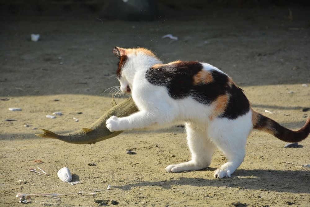 Photograph by Elizaveta Sakhnenko