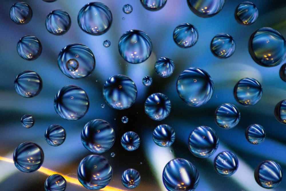 Photograph by Алина Логвиненко