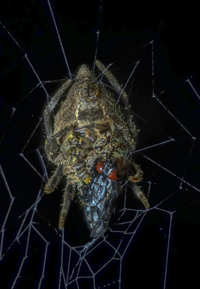 Photograph by INDRANIL MUKHERJEE